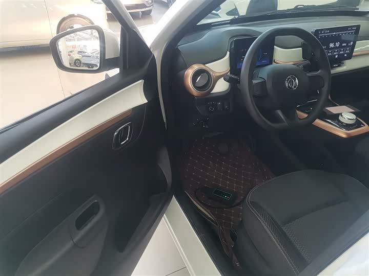Dongfeng Nammi Nano EX1 Pro 2023 2023款 PRO 轻风版闪电型