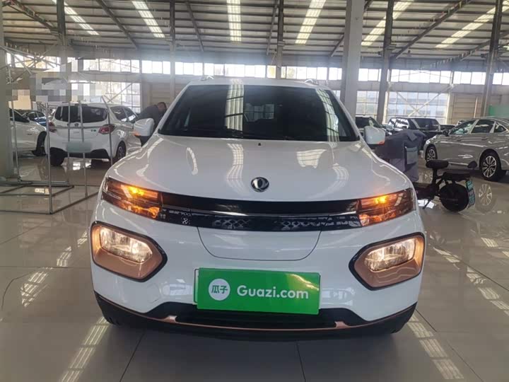 Dongfeng Nammi Nano EX1 Pro 2023 2023款 PRO 轻风版闪电型