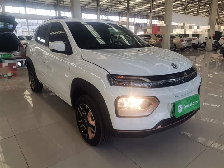 Dongfeng Nammi Nano EX1 Pro 2023 2023款 PRO 轻风版闪电型