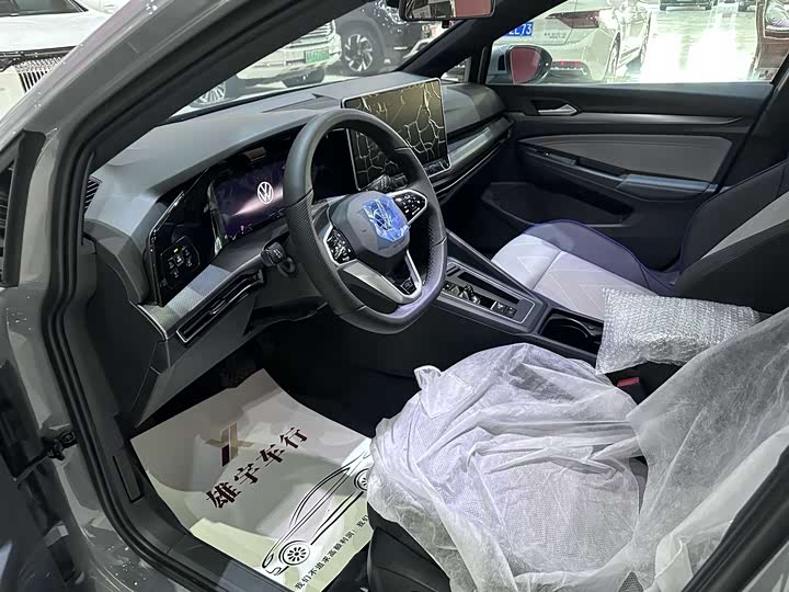 Volkswagen Golf 2025 2025款 改款二 300TSI R-Line