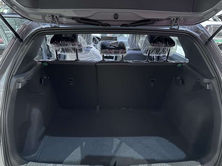 Volkswagen Golf 2025 2025款 改款二 300TSI R-Line