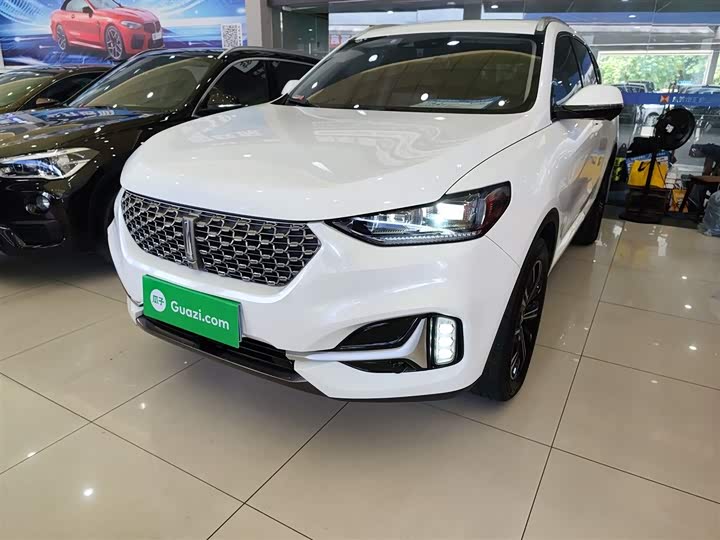 Wey VV6 2021 2021款 2.0T 两驱智护+