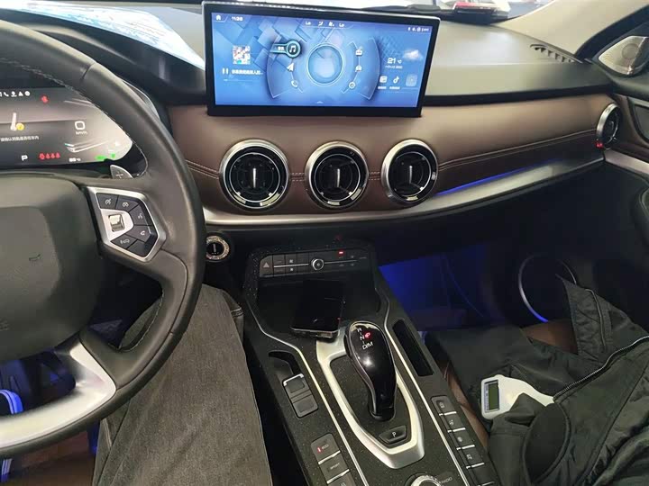 Wey VV6 2021 2021款 2.0T 两驱智护+