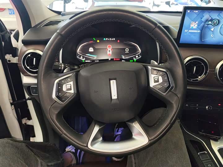 Wey VV6 2021 2021款 2.0T 两驱智护+