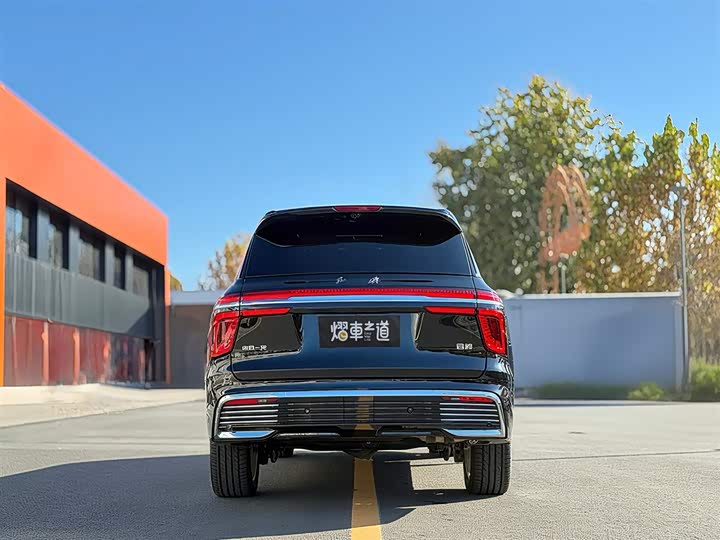Hongqi LS7 (Guoyao) 2022 2022款 4.0T 典雅旗航版 6座