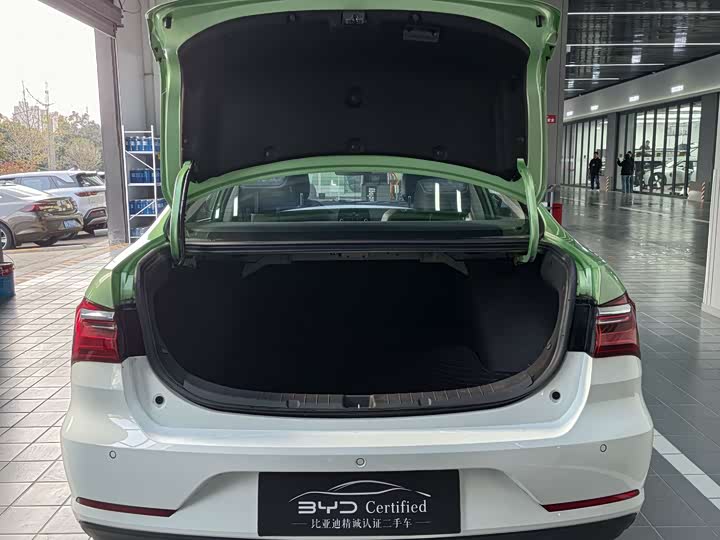 BYD Qin EV 2021 2021款 出行版