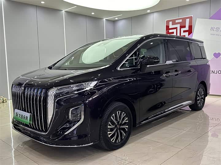 Hongqi HQ9 Hybrid 2024 2024款 2.0T 四驱豪华版