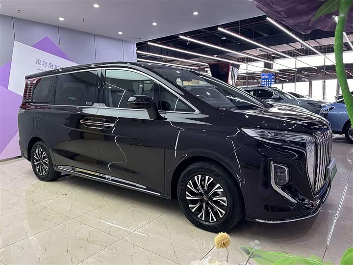 Hongqi HQ9 Hybrid 2024 2024款 2.0T 四驱豪华版