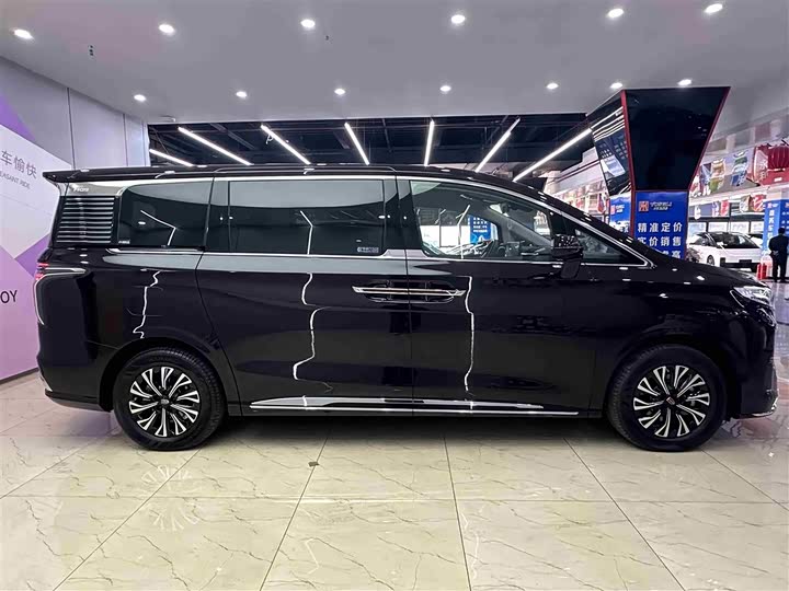 Hongqi HQ9 Hybrid 2024 2024款 2.0T 四驱豪华版