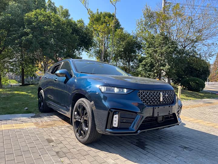Wey VV7 2020 2020款 2.0T 旗舰型