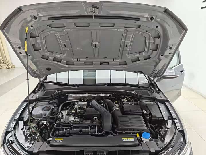 Volkswagen Golf 2025 2025款 300TSI R-Line