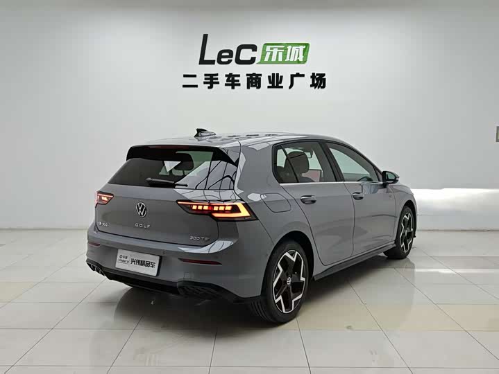 Volkswagen Golf 2025 2025款 300TSI R-Line