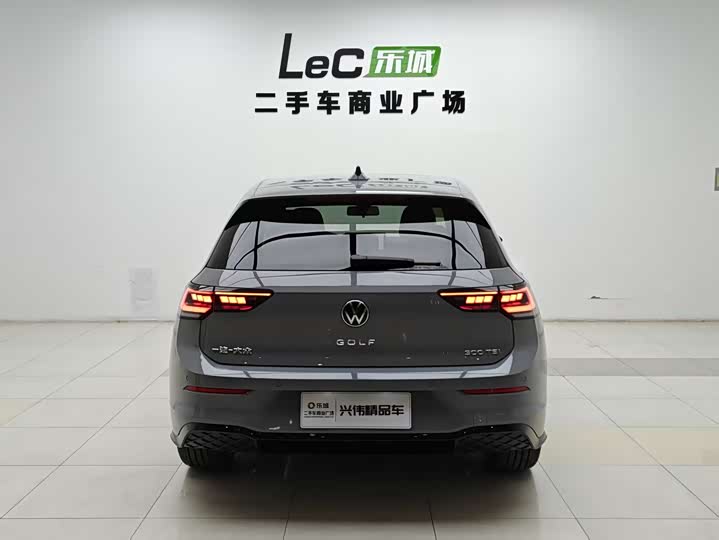 Volkswagen Golf 2025 2025款 300TSI R-Line