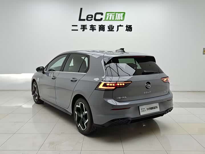 Volkswagen Golf 2025 2025款 300TSI R-Line