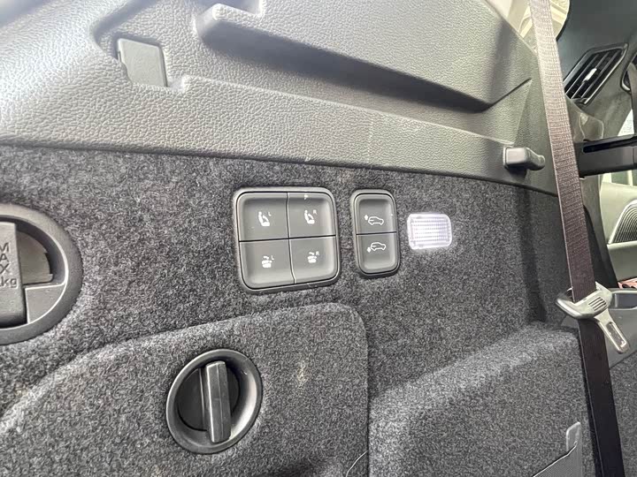 Hongqi E-HS9 2022 2022款 660km 旗畅版 六座