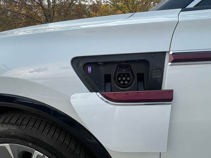 Hongqi E-HS9 2022 2022款 660km 旗畅版 六座