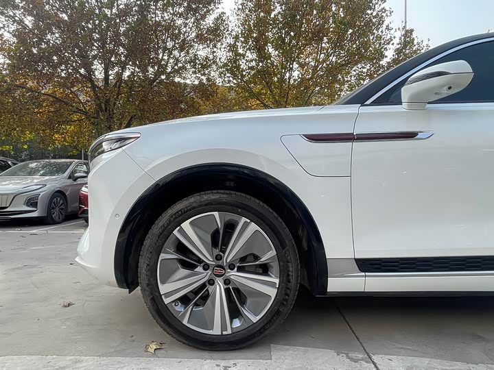 Hongqi E-HS9 2022 2022款 660km 旗畅版 六座