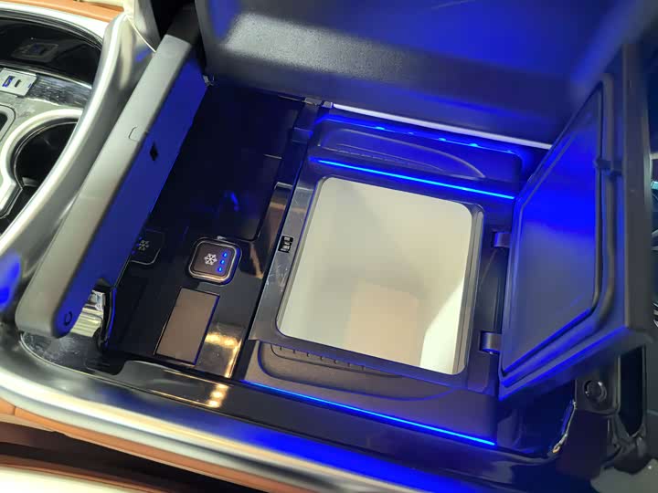 Mercedes-Benz V-Class 2022 2022款 V 260 L 长轴距豪华版