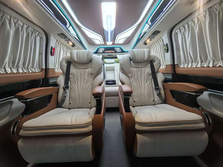 Mercedes-Benz V-Class 2022 2022款 V 260 L 长轴距豪华版