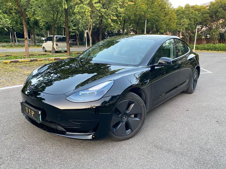 Tesla Model 3 2023 2023款 后轮驱动版