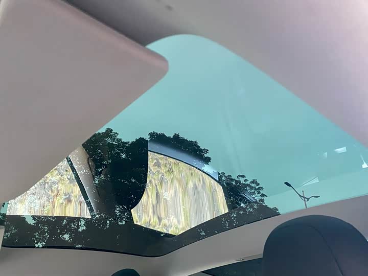 Tesla Model 3 2023 2023款 后轮驱动版