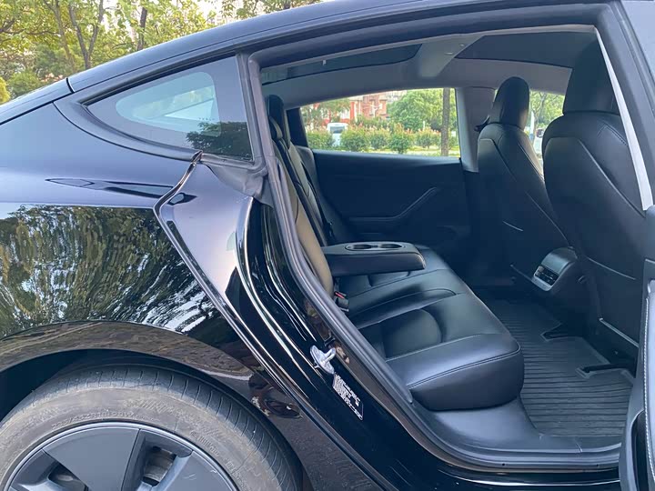 Tesla Model 3 2023 2023款 后轮驱动版