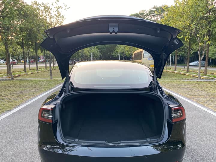 Tesla Model 3 2023 2023款 后轮驱动版