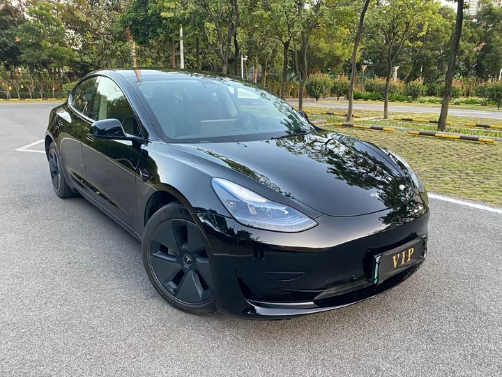 Tesla Model 3 2023 2023款 后轮驱动版