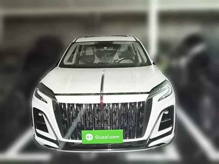 Hongqi HS3 2024 2024款 1.5T 志为版