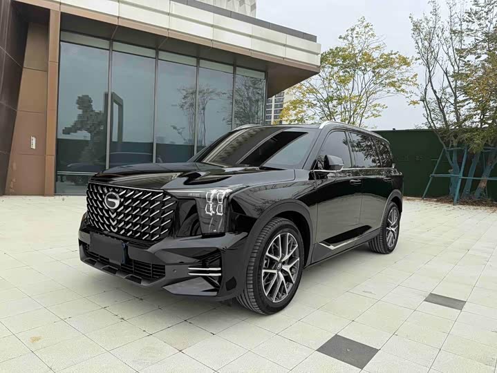 GAC Trumpchi GS8 2025 2025款 领航系列 2.0TGDI 两驱豪华版 5座