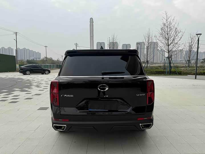GAC Trumpchi GS8 2025 2025款 领航系列 2.0TGDI 两驱豪华版 5座
