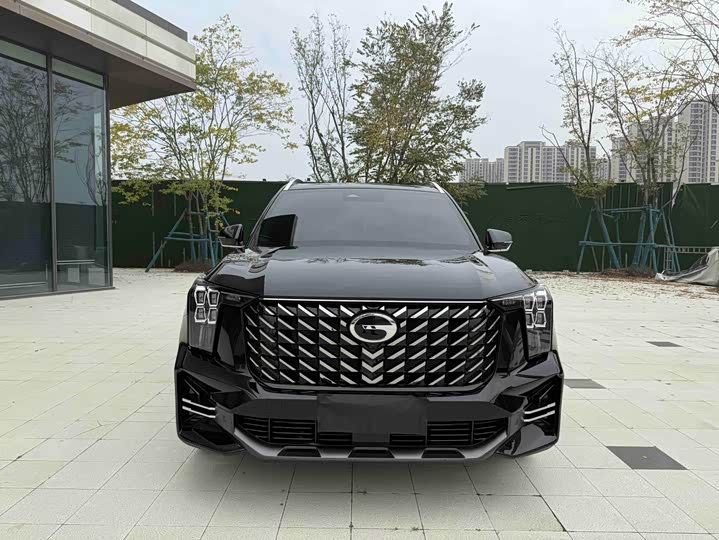 GAC Trumpchi GS8 2025 2025款 领航系列 2.0TGDI 两驱豪华版 5座