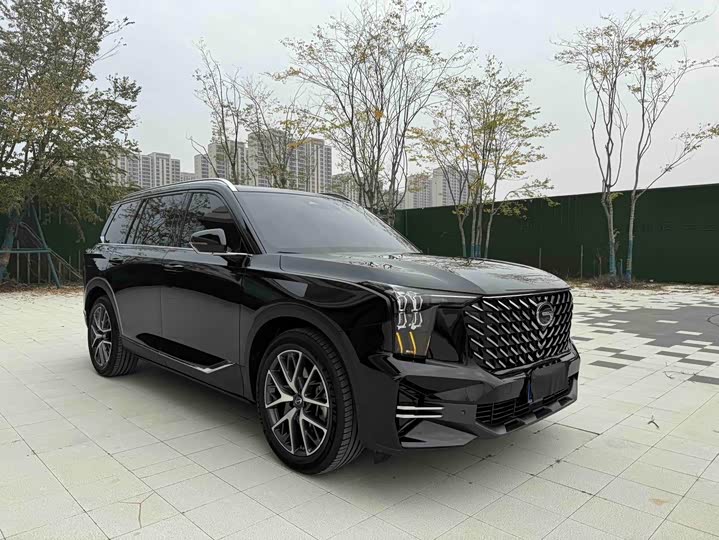 GAC Trumpchi GS8 2025 2025款 领航系列 2.0TGDI 两驱豪华版 5座