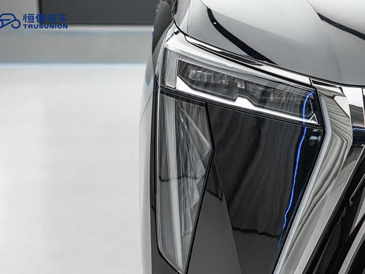 GAC Trumpchi E9 2024 2024款 E9 冠军版