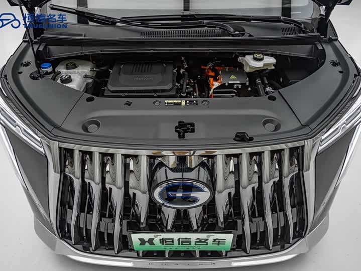 GAC Trumpchi E9 2024 2024款 E9 冠军版