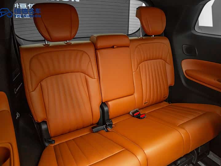 GAC Trumpchi E9 2024 2024款 E9 冠军版