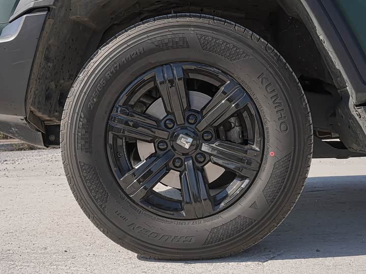 Tank 300 2024 2024款 2.0T 征服者