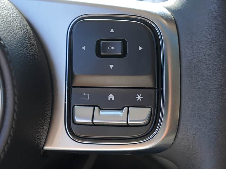 Tank 300 2024 2024款 2.0T 征服者