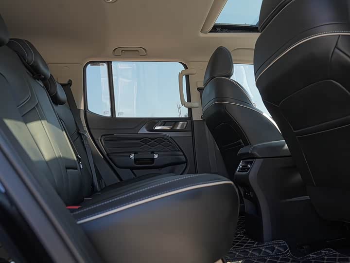 Tank 300 2024 2024款 2.0T 征服者