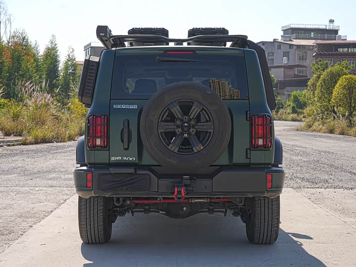 Tank 300 2024 2024款 2.0T 征服者