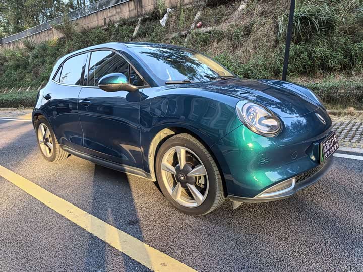 Ora Good Cat (03) 2023 2023款 401km标准续航 豪华型 磷酸铁锂