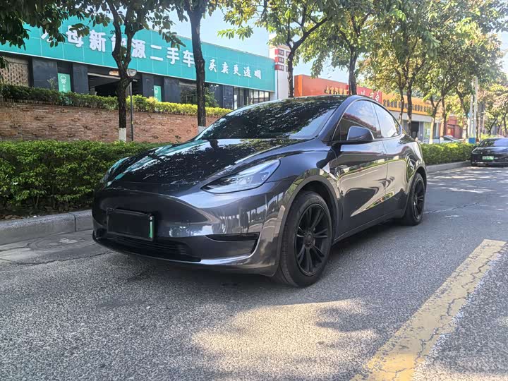 Tesla Model Y 2024 2024款 后轮驱动版