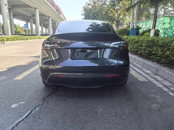 Tesla Model Y 2024 2024款 后轮驱动版