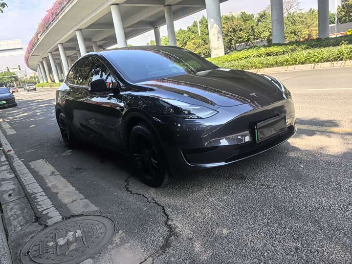 Tesla Model Y 2024 2024款 后轮驱动版
