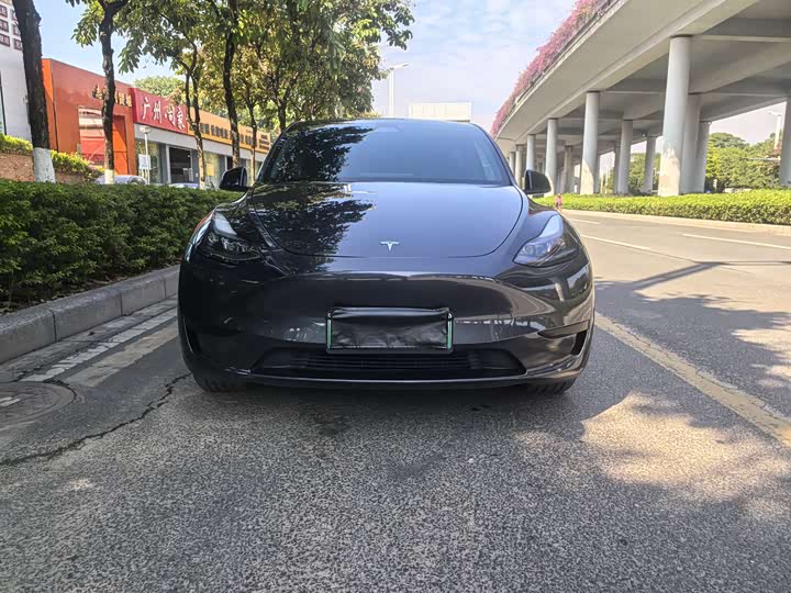 Tesla Model Y 2024 2024款 后轮驱动版