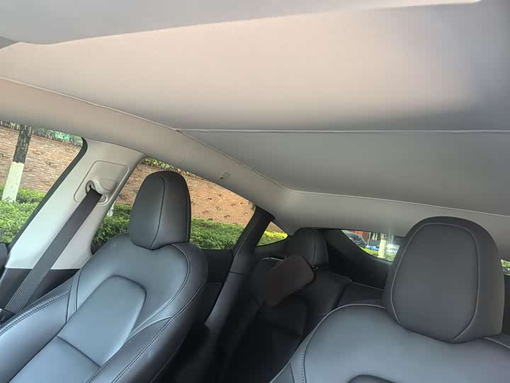 Tesla Model Y 2024 2024款 后轮驱动版