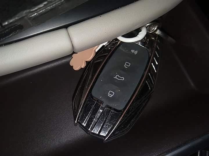 Haval Ruge Max 2023 2023款 1.5L Hi4 105 四驱领航版