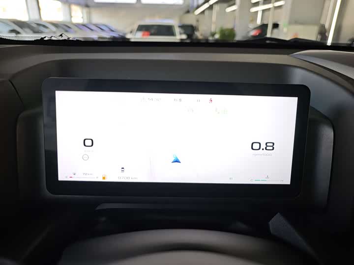 Haval H9 2024 2024款 2.0T 汽油四驱极境版