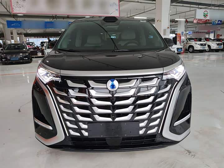 Denza D9 2025 2025款 DM-i 智驾版 1020 四驱尊贵型