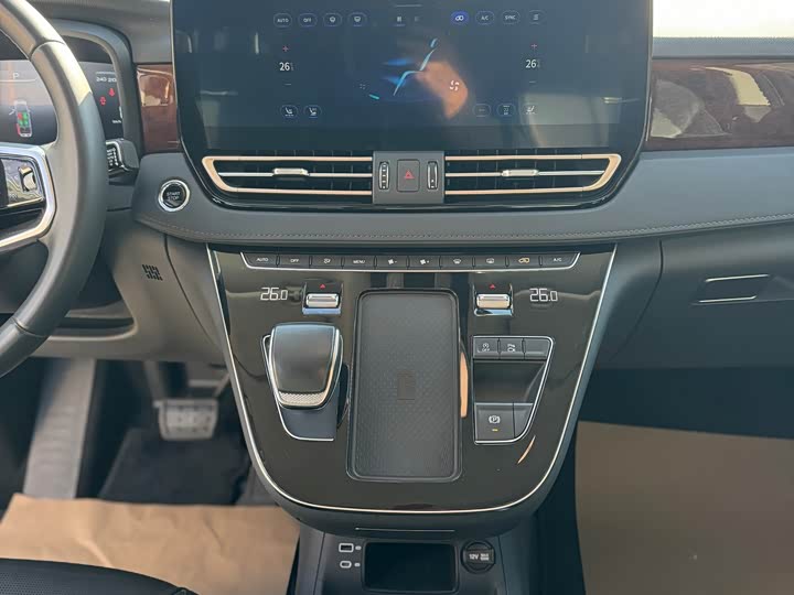 Hongqi HQ9 2023 2023款 2.0T 智联旗享版